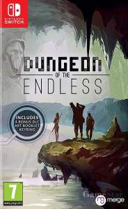 Dungeon of The Endless Switch